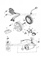 SYSTEME ELECTRIQUE  Daytona triumph-moto Daytona-others DAYTONA 955i 30786067