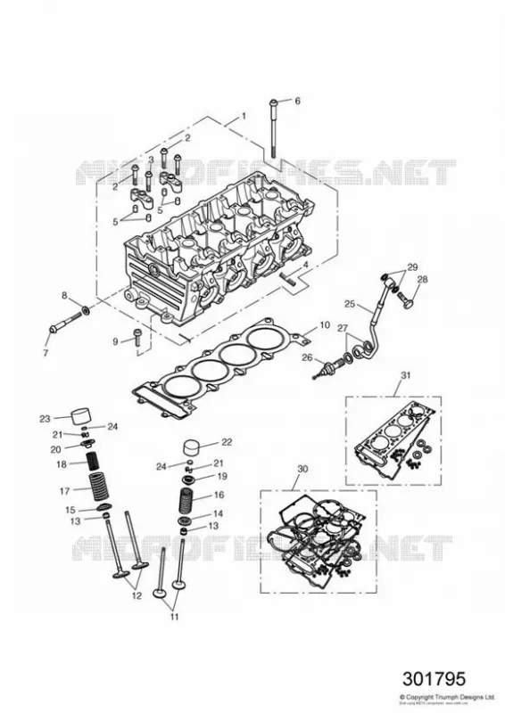CULASSE ET SOUPAPES Triumph MOTO Daytona Daytona-others DAYTONA 600 & 650  DAYTONA 600 & 650
