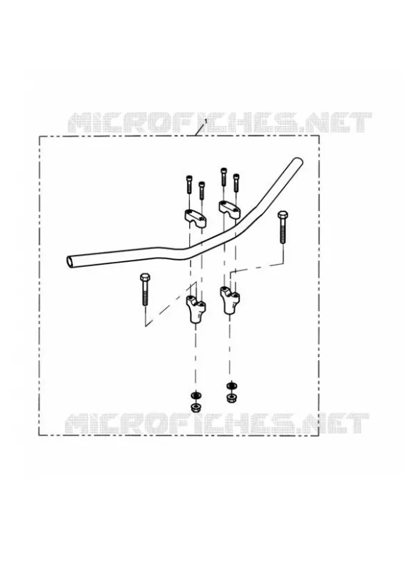 KIT GROS GUIDON Or Triumph MOTO Speed Speed-Triple SPEED TRIPLE  SPEED TRIPLE