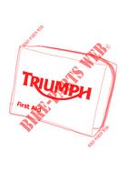 TROUSSE DE PREMIERS SECOURS DIN 13167 pour Triumph SPEED TRIPLE R