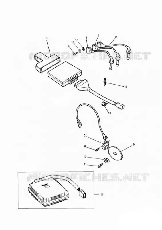 SYSTÈME D'ALLUMAGE Triumph MOTO Sprint Sprint-carbs SPRINT Carburetor  SPRINT Carburetor
