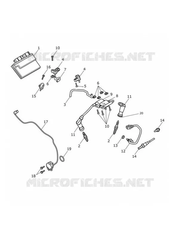 SYSTEME DE GESTION MOTEUR Triumph MOTO Street Street-Cup STREET CUP  STREET CUP