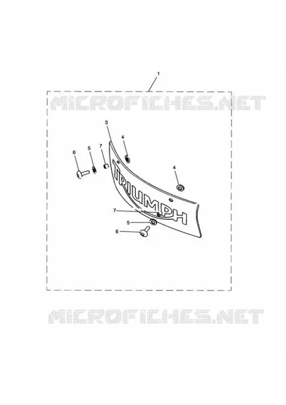 LOGO RÉSERVOIR CLAIR Triumph MOTO Thruxton Air-Cooled Thruxton Carburetor  Thruxton Carburetor