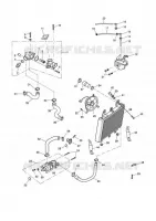 SYSTEME DE REFROIDISSEMENT  Tiger triumph-moto 955 TIGER 955i 10006499737